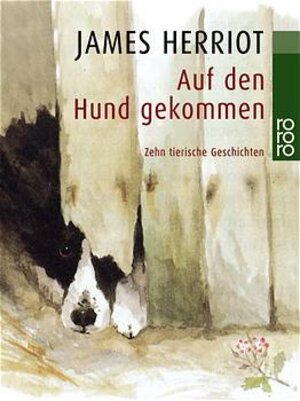 Auf den Hund gekommen: Zehn tierische Geschichten