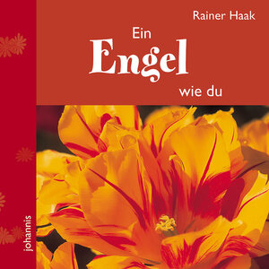 Buchcover Ein Engel wie du | Rainer Haak | EAN 9783501050767 | ISBN 3-501-05076-3 | ISBN 978-3-501-05076-7