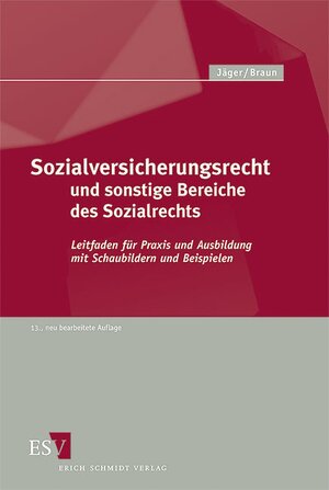 Buchcover Sozialversicherungsrecht und sonstige Bereiche des Sozialrechts | Hans-Dieter Braun | EAN 9783503116546 | ISBN 3-503-11654-0 | ISBN 978-3-503-11654-6
