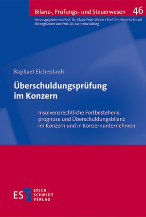 Buchcover Überschuldungsprüfung im Konzern | Raphael Eichenlaub | EAN 9783503167944 | ISBN 3-503-16794-3 | ISBN 978-3-503-16794-4