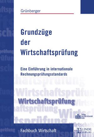 Grundzüge der Wirtschaftsprüfung: Eine Einführung in internationale Rechnungsprüfungsstandards