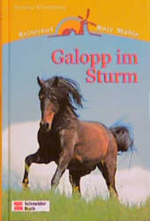 Buchcover Reiterhof Rote Mühle / Galopp im Sturm | Susanne Kronenberg | EAN 9783505113246 | ISBN 3-505-11324-7 | ISBN 978-3-505-11324-6