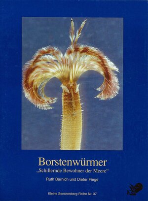 Buchcover Borstenwürmer | Ruth Barnich | EAN 9783510610334 | ISBN 3-510-61033-4 | ISBN 978-3-510-61033-4