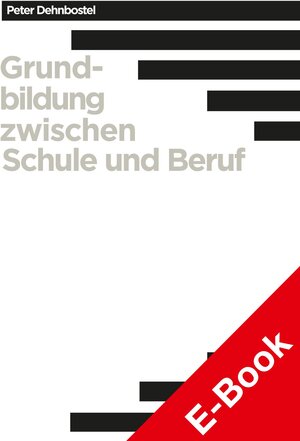 Buchcover Grundbildung zwischen Schule und Beruf | Peter Dehnbostel | EAN 9783515131094 | ISBN 3-515-13109-4 | ISBN 978-3-515-13109-4