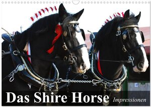 Buchcover Das Shire Horse. Impressionen (Wandkalender 2026 DIN A3 quer), CALVENDO Monatskalender | Elisabeth Stanzer | EAN 9783516000764 | ISBN 3-516-00076-7 | ISBN 978-3-516-00076-4