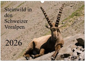 Buchcover Steinwild in den Schweizer Voralpen (Wandkalender 2026 DIN A3 quer), CALVENDO Monatskalender | Norbert W. Saul | EAN 9783516001303 | ISBN 3-516-00130-5 | ISBN 978-3-516-00130-3