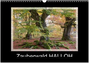 Buchcover Zauberwald HALLOH (Wandkalender 2026 DIN A3 quer), CALVENDO Monatskalender | Marion Maurer | EAN 9783516002805 | ISBN 3-516-00280-8 | ISBN 978-3-516-00280-5