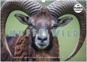 Buchcover Emotionale Momente: Muffelwild. (Wandkalender 2026 DIN A3 quer), CALVENDO Monatskalender | Ingo Gerlach | EAN 9783516007152 | ISBN 3-516-00715-X | ISBN 978-3-516-00715-2