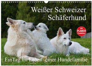 Buchcover Weißer Schweizer Schäferhund - Ein Tag im Leben einer Hundefamilie (Wandkalender 2026 DIN A3 quer), CALVENDO Monatskalender | Sigrid Starick | EAN 9783516007749 | ISBN 3-516-00774-5 | ISBN 978-3-516-00774-9