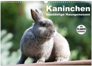 Buchcover Kaninchen - knuddelige Hausgenossen (Wandkalender 2026 DIN A3 quer), CALVENDO Monatskalender | Fotodesign Verena Scholze | EAN 9783516013313 | ISBN 3-516-01331-1 | ISBN 978-3-516-01331-3