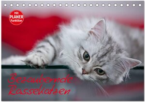 Buchcover Bezaubernde Rassekatzen (Tischkalender 2026 DIN A5 quer), CALVENDO Monatskalender | Melanie Viola | EAN 9783516013832 | ISBN 3-516-01383-4 | ISBN 978-3-516-01383-2