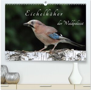 Buchcover Eichelhäher der Waldpolizist (hochwertiger Premium Wandkalender 2026 DIN A2 quer), Kunstdruck in Hochglanz | Klaus Konieczka | EAN 9783516016741 | ISBN 3-516-01674-4 | ISBN 978-3-516-01674-1