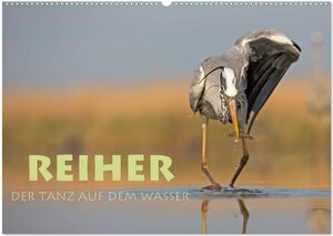 Buchcover Reiher - Der Tanz auf dem Wasser (Wandkalender 2026 DIN A2 quer), CALVENDO Monatskalender | Stephan Peyer | EAN 9783516018745 | ISBN 3-516-01874-7 | ISBN 978-3-516-01874-5