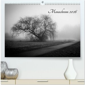Buchcover Monochrom 2026 (hochwertiger Premium Wandkalender 2026 DIN A2 quer), Kunstdruck in Hochglanz | Alexander Pfeiffer | EAN 9783516023930 | ISBN 3-516-02393-7 | ISBN 978-3-516-02393-0