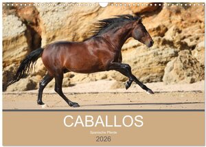Buchcover Caballos Spanische Pferde 2026 (Wandkalender 2026 DIN A3 quer), CALVENDO Monatskalender | Petra Eckerl Tierfotografie | EAN 9783516024616 | ISBN 3-516-02461-5 | ISBN 978-3-516-02461-6
