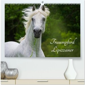 Buchcover Traumpferd Lipizzaner (hochwertiger Premium Wandkalender 2026 DIN A2 quer), Kunstdruck in Hochglanz | Sigrid Starick | EAN 9783516029000 | ISBN 3-516-02900-5 | ISBN 978-3-516-02900-0