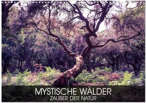 Buchcover Mystische Wälder - Zauber der Natur (Wandkalender 2026 DIN A3 quer), CALVENDO Monatskalender | Val Thoermer | EAN 9783516033458 | ISBN 3-516-03345-2 | ISBN 978-3-516-03345-8