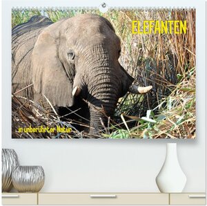 Buchcover ELEFANTEN IN UNBERÜHRTER NATUR (hochwertiger Premium Wandkalender 2026 DIN A2 quer), Kunstdruck in Hochglanz | Roman Goldinger | EAN 9783516035315 | ISBN 3-516-03531-5 | ISBN 978-3-516-03531-5