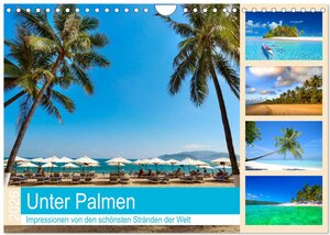 Buchcover Unter Palmen 2026. Impressionen von den schönsten Stränden der Welt (Wandkalender 2026 DIN A4 quer), CALVENDO Monatskalender | Steffani Lehmann (Hrsg.) | EAN 9783516036855 | ISBN 3-516-03685-0 | ISBN 978-3-516-03685-5