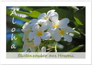 Buchcover Aloha Blütenzauber aus Hawaii (Wandkalender 2026 DIN A2 quer), CALVENDO Monatskalender | Manuela Tollerian-Fornoff | EAN 9783516038842 | ISBN 3-516-03884-5 | ISBN 978-3-516-03884-2
