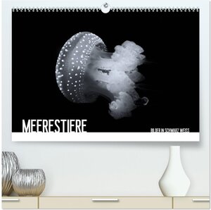 Buchcover Meerestiere Bilder in Schwarz Weiss (hochwertiger Premium Wandkalender 2026 DIN A2 quer), Kunstdruck in Hochglanz | Dirk Meutzner | EAN 9783516039719 | ISBN 3-516-03971-X | ISBN 978-3-516-03971-9
