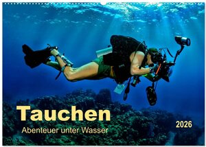 Buchcover Tauchen - Abenteuer unter Wasser (Wandkalender 2026 DIN A2 quer), CALVENDO Monatskalender | Peter Roder | EAN 9783516039795 | ISBN 3-516-03979-5 | ISBN 978-3-516-03979-5