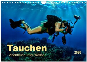 Buchcover Tauchen - Abenteuer unter Wasser (Wandkalender 2026 DIN A4 quer), CALVENDO Monatskalender | Peter Roder | EAN 9783516040562 | ISBN 3-516-04056-4 | ISBN 978-3-516-04056-2