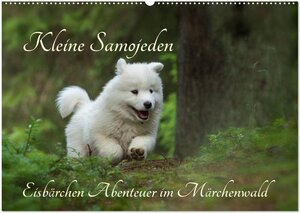 Buchcover Kleine Samojeden - Eisbärchen Abenteuer im Märchenwald (Wandkalender 2026 DIN A2 quer), CALVENDO Monatskalender | Claudia Pelzer / www.Pelzer-Photography.com | EAN 9783516041279 | ISBN 3-516-04127-7 | ISBN 978-3-516-04127-9