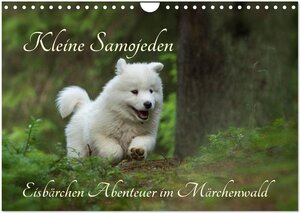 Buchcover Kleine Samojeden - Eisbärchen Abenteuer im Märchenwald (Wandkalender 2026 DIN A4 quer), CALVENDO Monatskalender | Claudia Pelzer / www.Pelzer-Photography.com | EAN 9783516041842 | ISBN 3-516-04184-6 | ISBN 978-3-516-04184-2