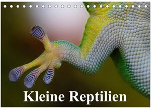 Buchcover Kleine Reptilien (Tischkalender 2026 DIN A5 quer), CALVENDO Monatskalender | Elisabeth Stanzer | EAN 9783516043143 | ISBN 3-516-04314-8 | ISBN 978-3-516-04314-3