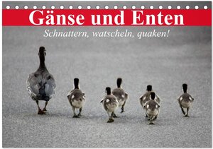 Buchcover Gänse und Enten. Schnattern, watscheln, quaken! (Tischkalender 2026 DIN A5 quer), CALVENDO Monatskalender | Elisabeth Stanzer | EAN 9783516054903 | ISBN 3-516-05490-5 | ISBN 978-3-516-05490-3