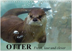 Buchcover Otter. Frech, laut und clever (Wandkalender 2026 DIN A4 quer), CALVENDO Monatskalender | Elisabeth Stanzer | EAN 9783516056143 | ISBN 3-516-05614-2 | ISBN 978-3-516-05614-3