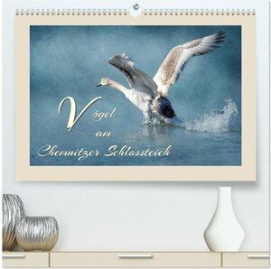 Buchcover Vögel am Chemnitzer Schlossteich (hochwertiger Premium Wandkalender 2026 DIN A2 quer), Kunstdruck in Hochglanz | Heike Hultsch | EAN 9783516069068 | ISBN 3-516-06906-6 | ISBN 978-3-516-06906-8
