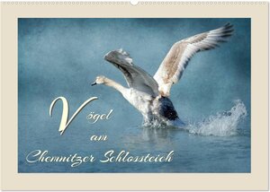 Buchcover Vögel am Chemnitzer Schlossteich (Wandkalender 2026 DIN A2 quer), CALVENDO Monatskalender | Heike Hultsch | EAN 9783516070576 | ISBN 3-516-07057-9 | ISBN 978-3-516-07057-6