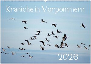 Buchcover Kraniche in Vorpommern (Wandkalender 2026 DIN A2 quer), CALVENDO Monatskalender | Siegfried Reinhold | EAN 9783516092714 | ISBN 3-516-09271-8 | ISBN 978-3-516-09271-4