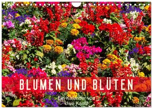 Buchcover Blumen und Blüten (Wandkalender 2026 DIN A4 quer), CALVENDO Monatskalender | Uwe Kantz | EAN 9783516100365 | ISBN 3-516-10036-2 | ISBN 978-3-516-10036-5