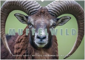 Buchcover Emotionale Momente: Muffelwild. (Wandkalender 2026 DIN A2 quer), CALVENDO Monatskalender | Ingo Gerlach | EAN 9783516130102 | ISBN 3-516-13010-5 | ISBN 978-3-516-13010-2