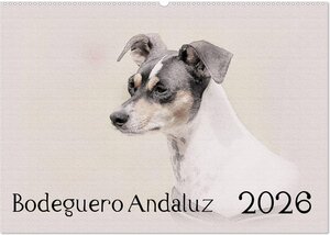 Buchcover Bodeguero Andaluz 2026 (Wandkalender 2026 DIN A2 quer), CALVENDO Monatskalender | Andrea Redecker | EAN 9783516130577 | ISBN 3-516-13057-1 | ISBN 978-3-516-13057-7