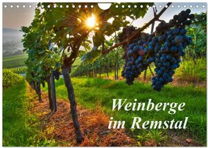 Buchcover Weinberge im Remstal (Wandkalender 2026 DIN A4 quer), CALVENDO Monatskalender | Bernd Schmidt | EAN 9783516140576 | ISBN 3-516-14057-7 | ISBN 978-3-516-14057-6