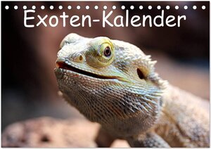 Buchcover Exoten-Kalender (Tischkalender 2026 DIN A5 quer), CALVENDO Monatskalender | Bernd Witkowski | EAN 9783516142730 | ISBN 3-516-14273-1 | ISBN 978-3-516-14273-0