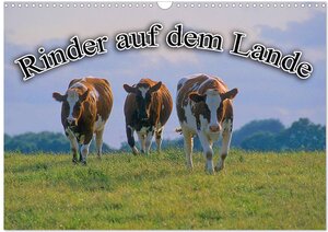 Buchcover Rinder auf dem Lande (Wandkalender 2026 DIN A3 quer), CALVENDO Monatskalender | Bildagentur Geduldig | EAN 9783516172874 | ISBN 3-516-17287-8 | ISBN 978-3-516-17287-4