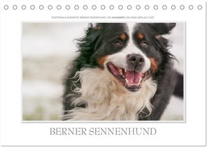 Buchcover Emotionale Momente: Berner Sennenhund. (Tischkalender 2026 DIN A5 quer), CALVENDO Monatskalender | Ingo Gerlach GDT | EAN 9783516188073 | ISBN 3-516-18807-3 | ISBN 978-3-516-18807-3