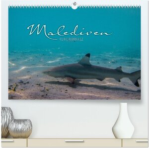 Buchcover Unterwasserwelt der Malediven I (hochwertiger Premium Wandkalender 2026 DIN A2 quer), Kunstdruck in Hochglanz | CLAVE RODRIGUEZ Photography | EAN 9783516197488 | ISBN 3-516-19748-X | ISBN 978-3-516-19748-8