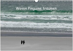 Buchcover Wovon Pinguine träumen (Wandkalender 2026 DIN A3 quer), CALVENDO Monatskalender | Rolf Skrypzak | EAN 9783516197655 | ISBN 3-516-19765-X | ISBN 978-3-516-19765-5