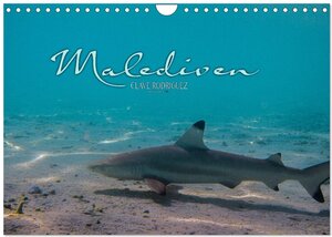 Buchcover Unterwasserwelt der Malediven I (Wandkalender 2026 DIN A4 quer), CALVENDO Monatskalender | CLAVE RODRIGUEZ Photography | EAN 9783516199185 | ISBN 3-516-19918-0 | ISBN 978-3-516-19918-5