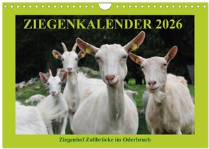 Buchcover Ziegenkalender 2026 (Wandkalender 2026 DIN A4 quer), CALVENDO Monatskalender | Antje und Dietmar Püpke | EAN 9783516682113 | ISBN 3-516-68211-6 | ISBN 978-3-516-68211-3