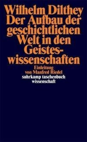 Der Aufbau der geschichtlichen Welt in den Geisteswissenschaften (suhrkamp taschenbuch wissenschaft)