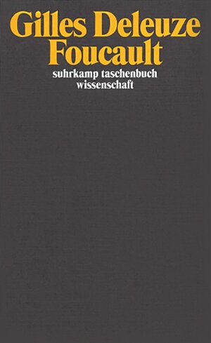 Foucault (suhrkamp taschenbuch wissenschaft)