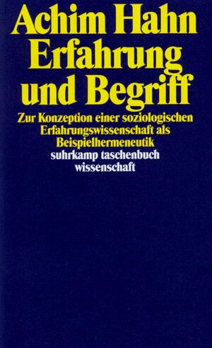 Buchcover Erfahrung und Begriff | Achim Hahn | EAN 9783518287613 | ISBN 3-518-28761-3 | ISBN 978-3-518-28761-3