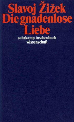 Die gnadenlose Liebe (suhrkamp taschenbuch wissenschaft)